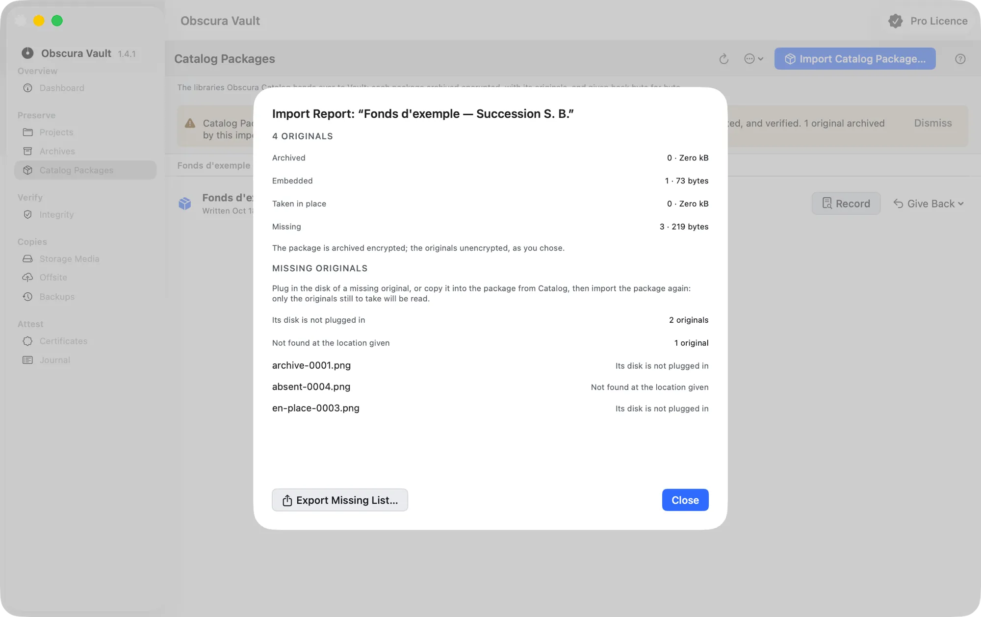 The import report: the four classes of originals with their number and size, then the missing originals grouped by reason and listed with their name